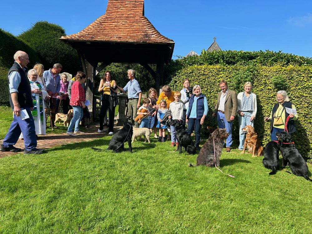 Outdoor Animal Service in Inkpen (2)