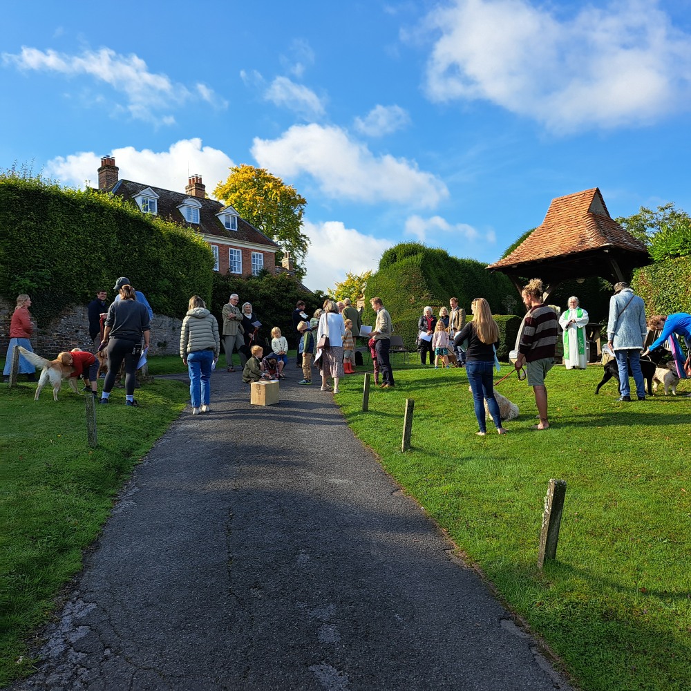 Inkpen Pet Service (5)